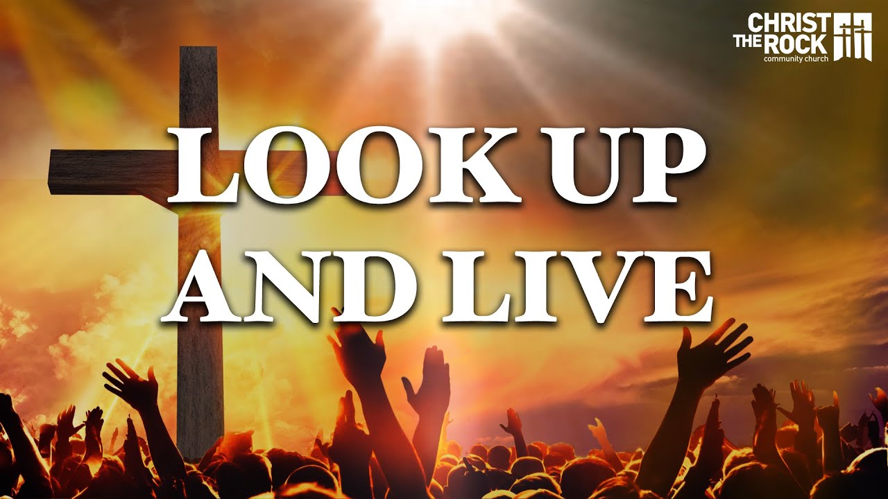 Look up and Live