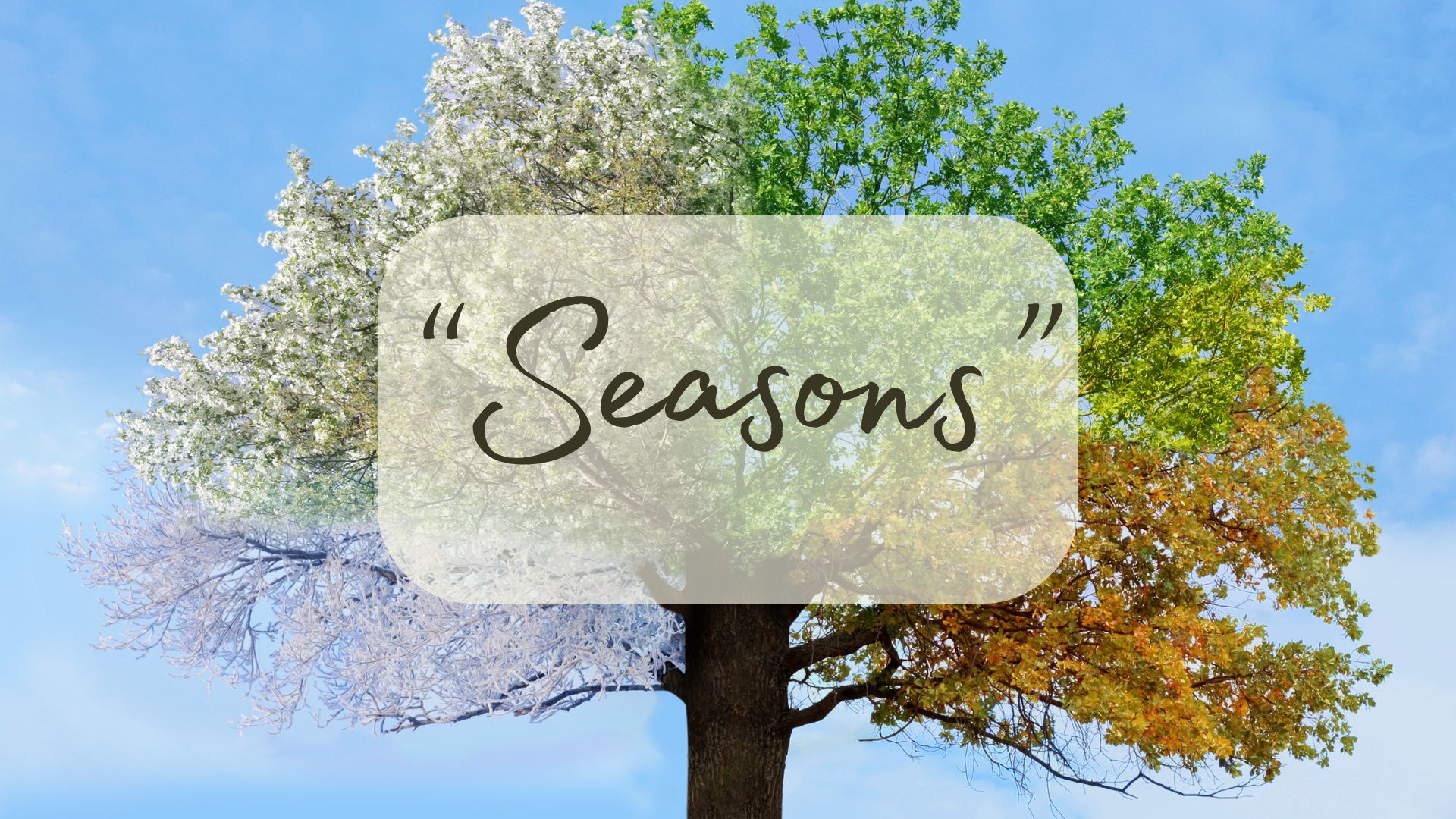 Types of seasons in the life of Paul